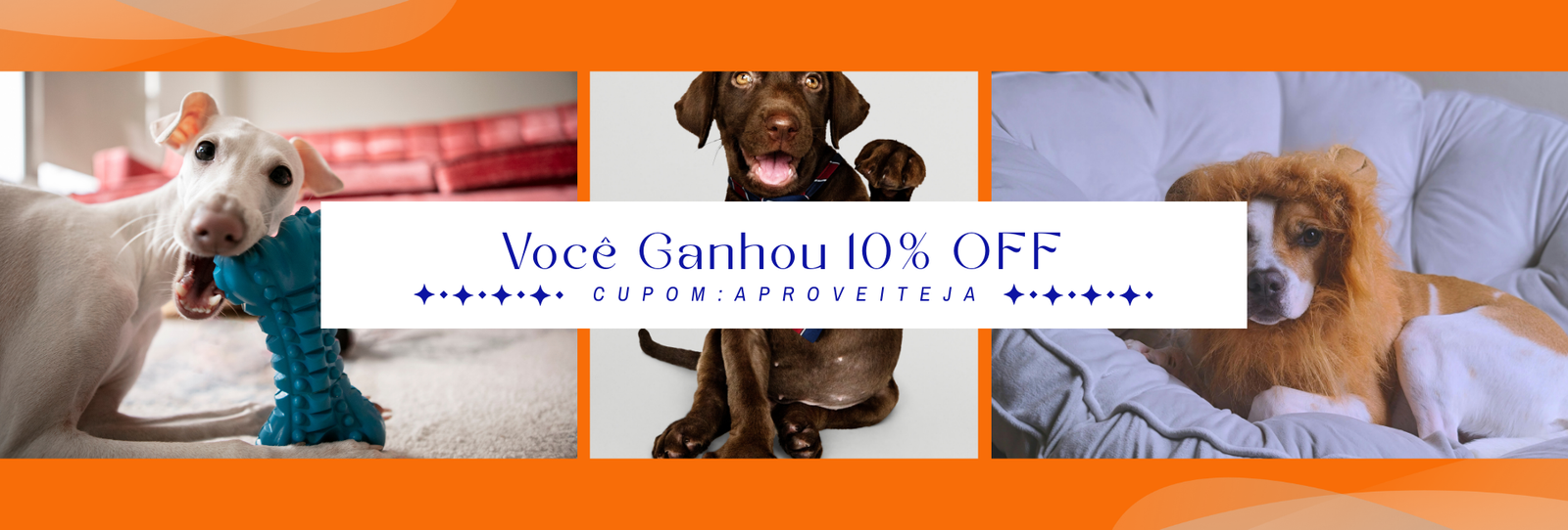 Você Ganhou 10% OFF